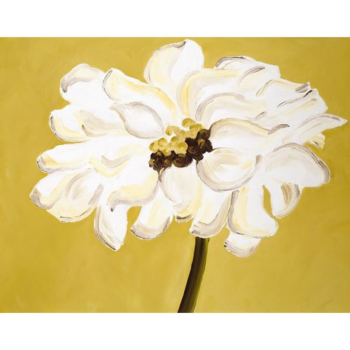 White Flower on Ochre
