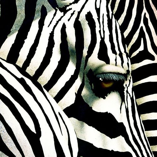 Do Zebras Dream in Color