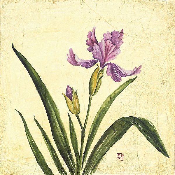 Purple Botanical II