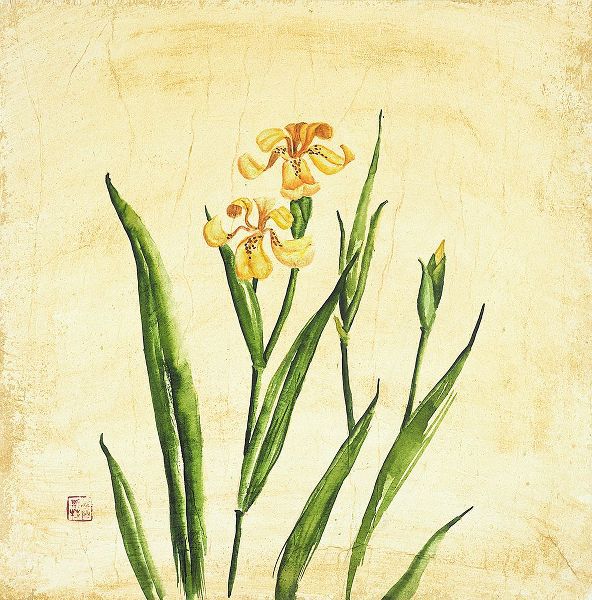 Yellow Botanical II