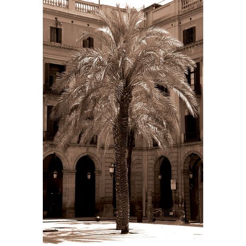 Palm Barcelona