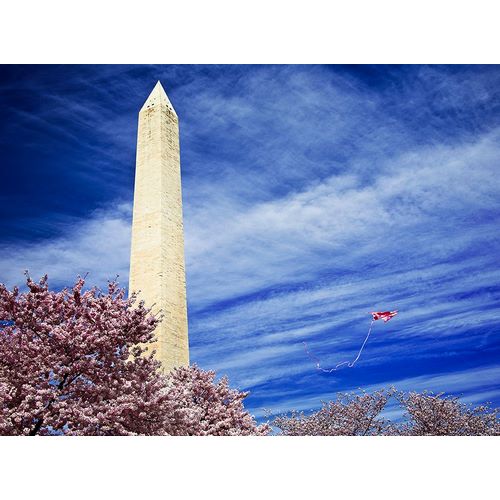 Washington Monument with Kite and Cherry Blossoms