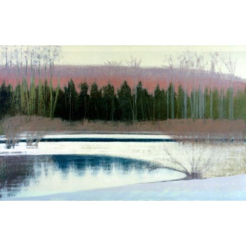 Cedars and Brook - Winter