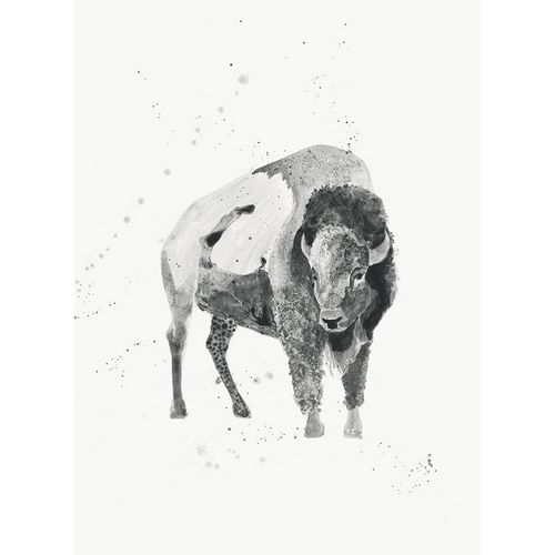 Watercolor Buffalo