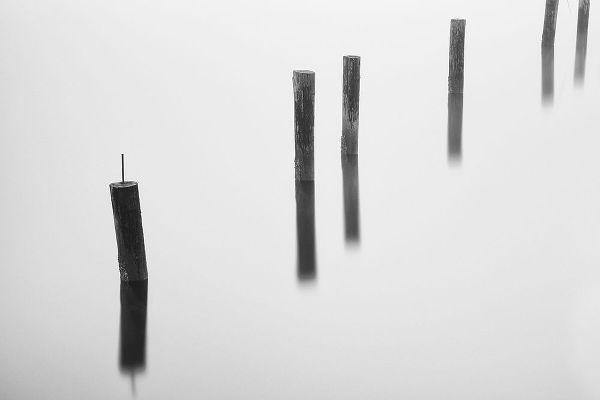 Old Pilings in the fog