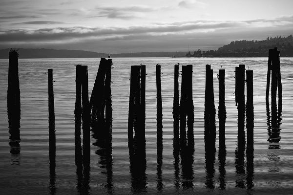 Old Pilings on Puget Sound