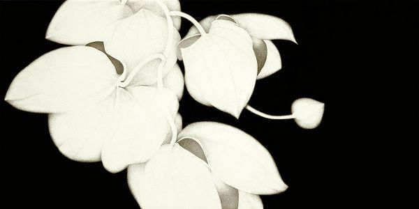 Orchid Diptych II