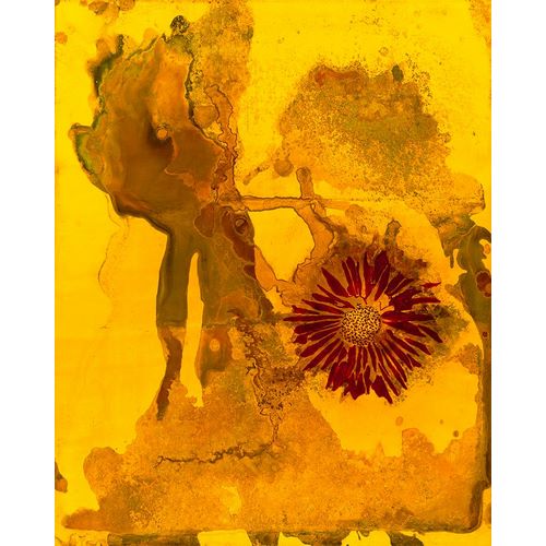 Sunflower Series IV