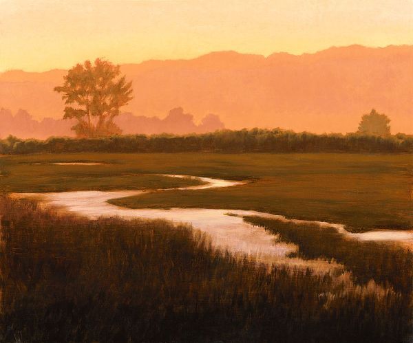 Stinson Wetlands