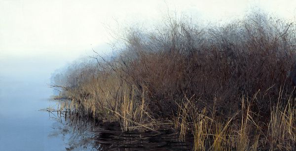 Grassy Marsh