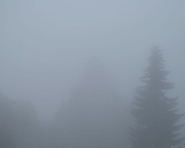 Foggy Morning 4