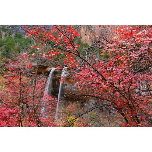 Zion Falls 1