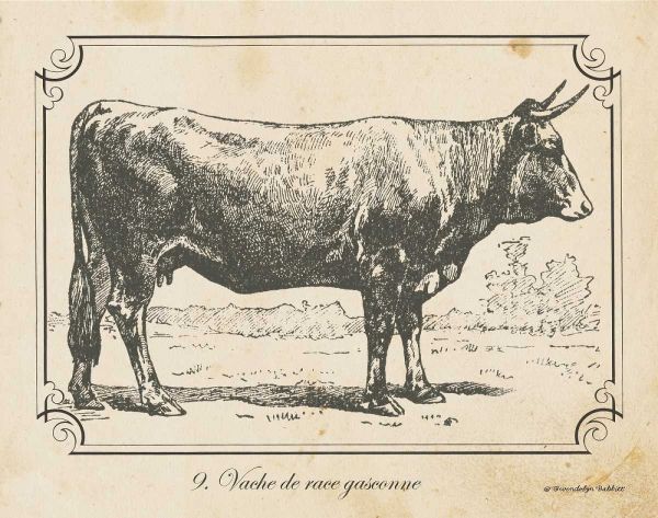 Farm Bull I