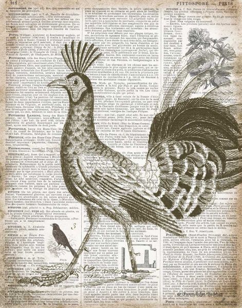 Vintage Bird II