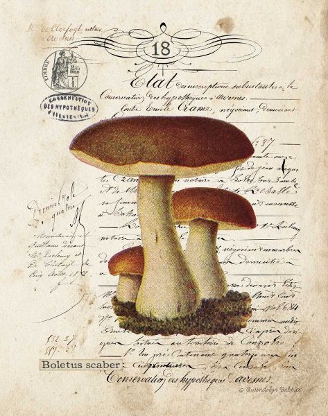 Mushroom II