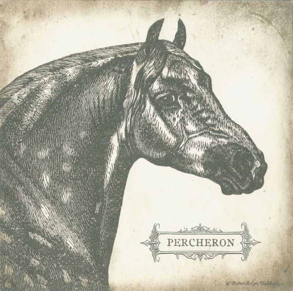 Percheron