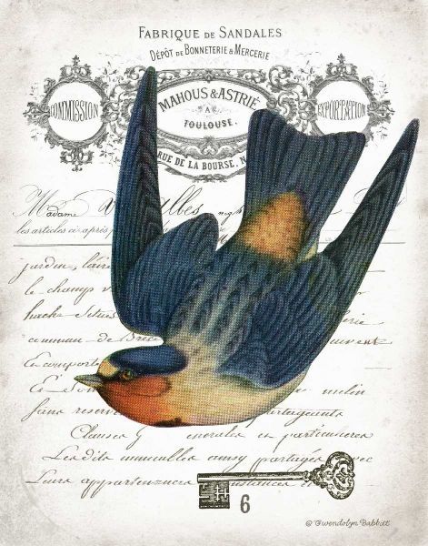 French Swallow I