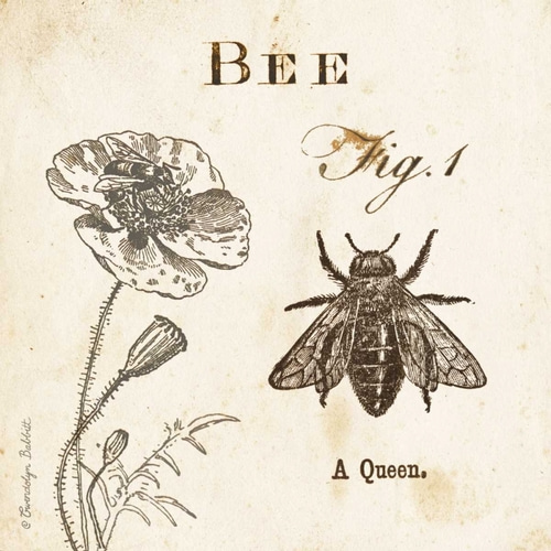 Bee Fig 1