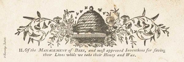 Bee Hive Panel