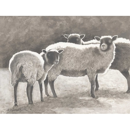 Three Heirloom Sheep