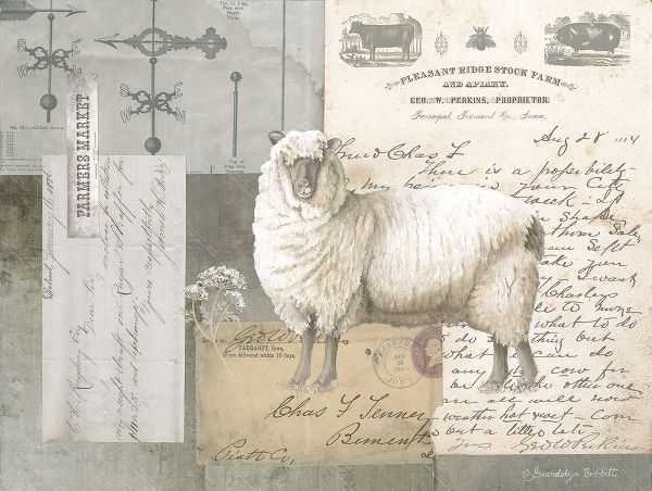 Sheep On Ephemera II