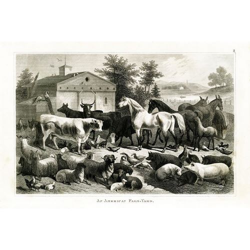 1800s Farm Animal Chart