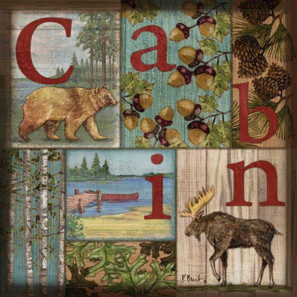 C is for Cabin