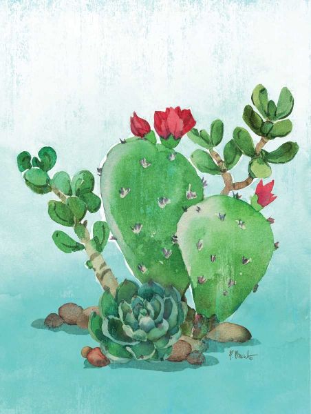 Cactus IV