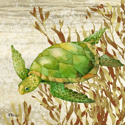 Calypso Turtles II