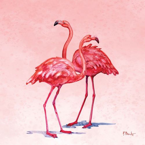 Hilo Flamingos I