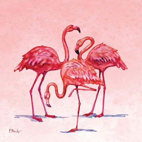 Hilo Flamingos II