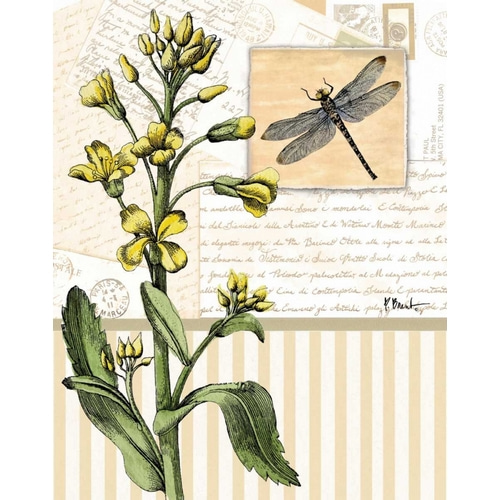 Botanical Collage II