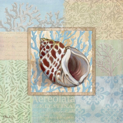 Oceanic Shell Collage I
