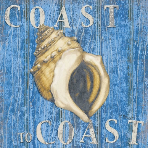 Coastal USA Conch