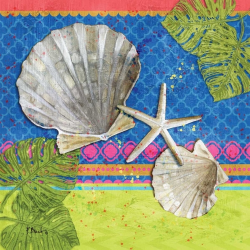 Pacific Shells IV