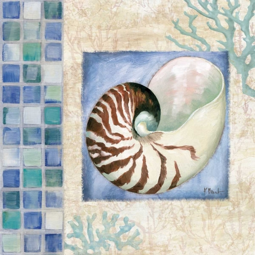 Mosaic Shell Collage V