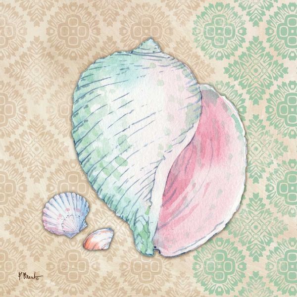 Serene Seashells II