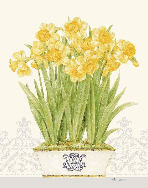 Imperial Daffodils