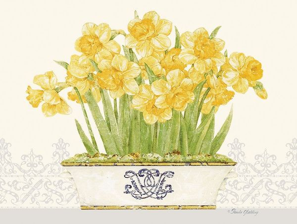 Imperial Daffodils Horizontal
