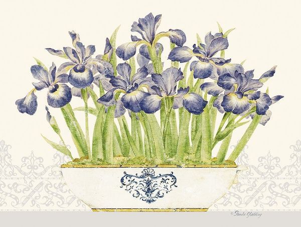 Imperial Irises Horizontal