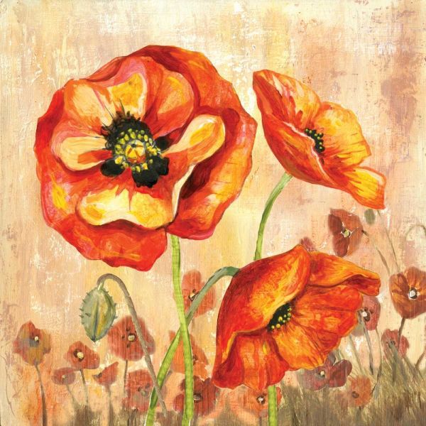 Big Red Poppies II