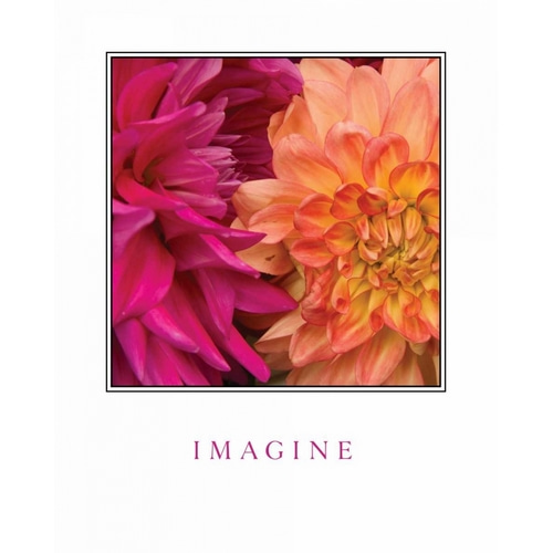 Imagine Flowers