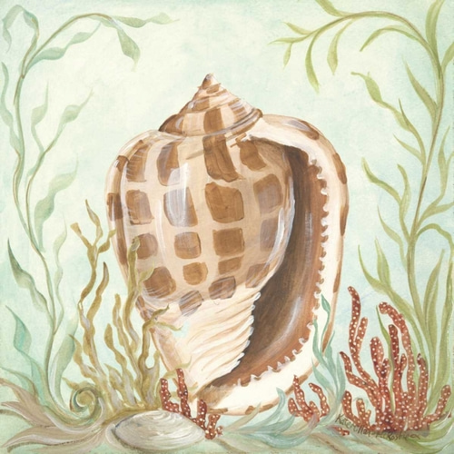 Seashells and Coral I
