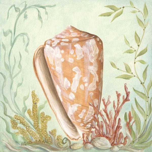 Seashells and Coral IV