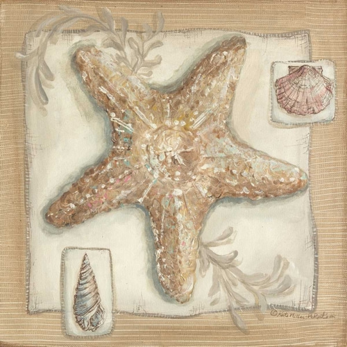 Sandy Starfish