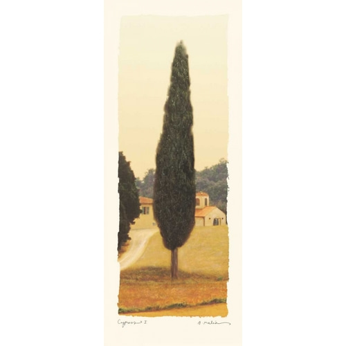 Cypress I