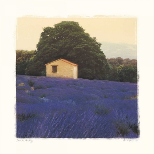 Lavender Country