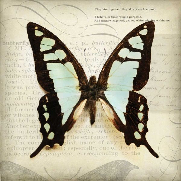 Butterflies Script I