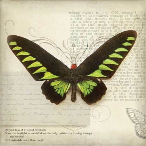 Butterflies Script VI