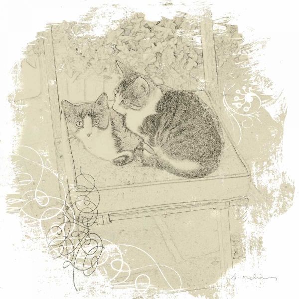 Feline Illustration II